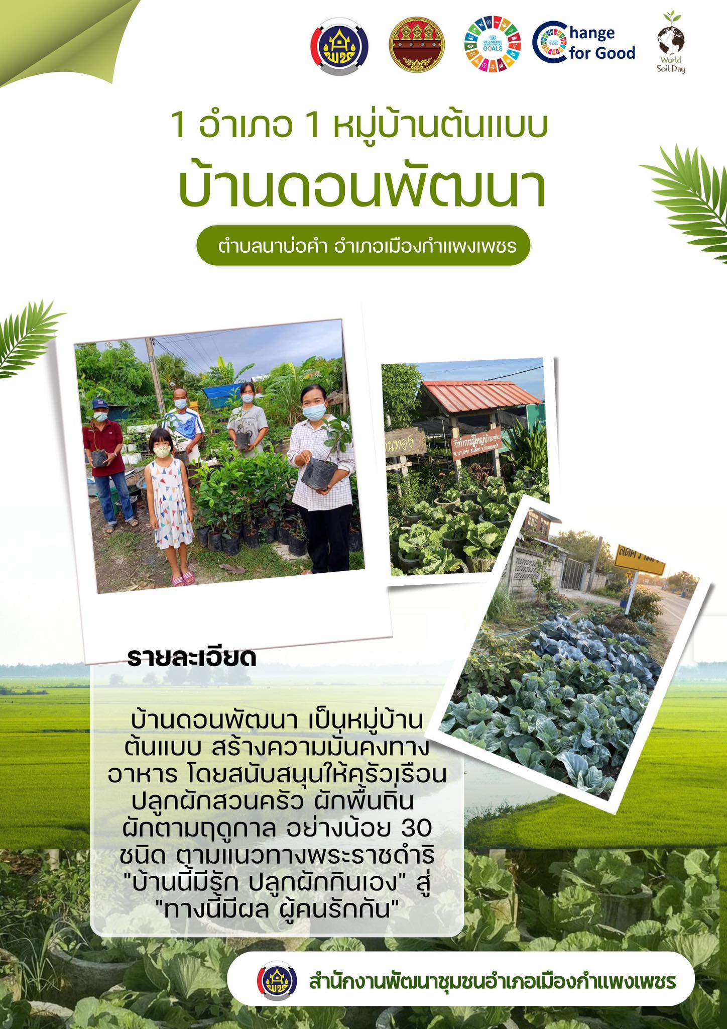 พช.เมืองกำแพงเพชร ขับเคลื่อนกิจกรรมการน้อมนำแนวพระราชดำริของสมเด็จพระกนิษฐาธิราชเจ้า กรมสมเด็จพระเทพรัตนราชสุดา สยามบรมราชกุมารี สู่ปฏิบัติการปลูกผักสวนครัว เพื่อสร้างความมั่นคงทางอาหาร